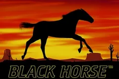 Black Horse